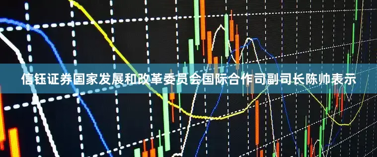 信钰证券　　国家发展和改革委员会国际合作司副司长陈帅表示