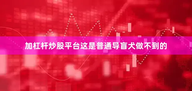 加杠杆炒股平台这是普通导盲犬做不到的