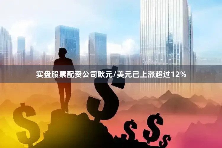 实盘股票配资公司欧元/美元已上涨超过12%