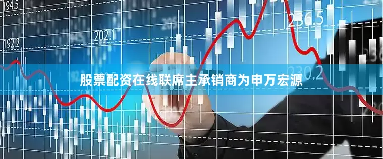 股票配资在线联席主承销商为申万宏源