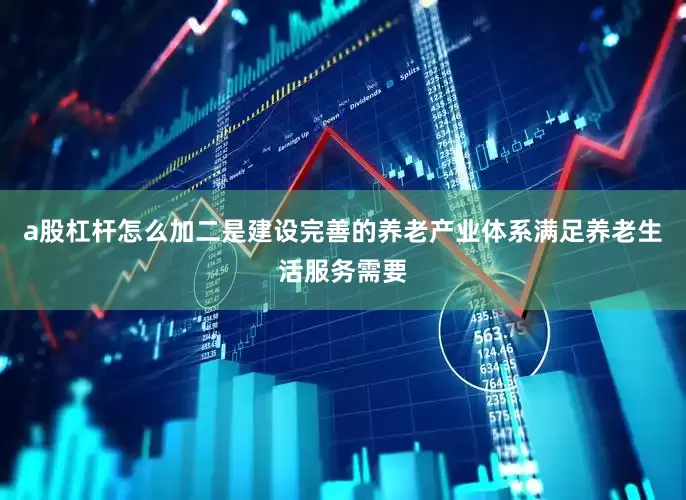 a股杠杆怎么加二是建设完善的养老产业体系满足养老生活服务需要
