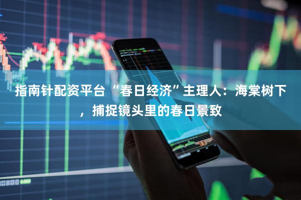 指南针配资平台 “春日经济”主理人：海棠树下，捕捉镜头里的春日景致
