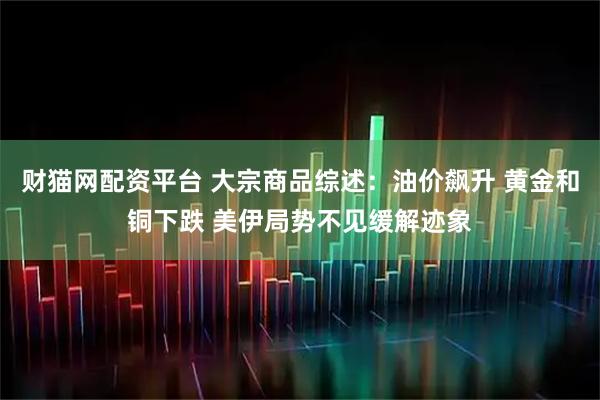 财猫网配资平台 大宗商品综述：油价飙升 黄金和铜下跌 美伊局势不见缓解迹象