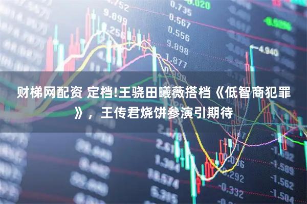 财梯网配资 定档!王骁田曦薇搭档《低智商犯罪》，王传君烧饼参演引期待